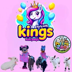 Saddle party With Mini Ponys