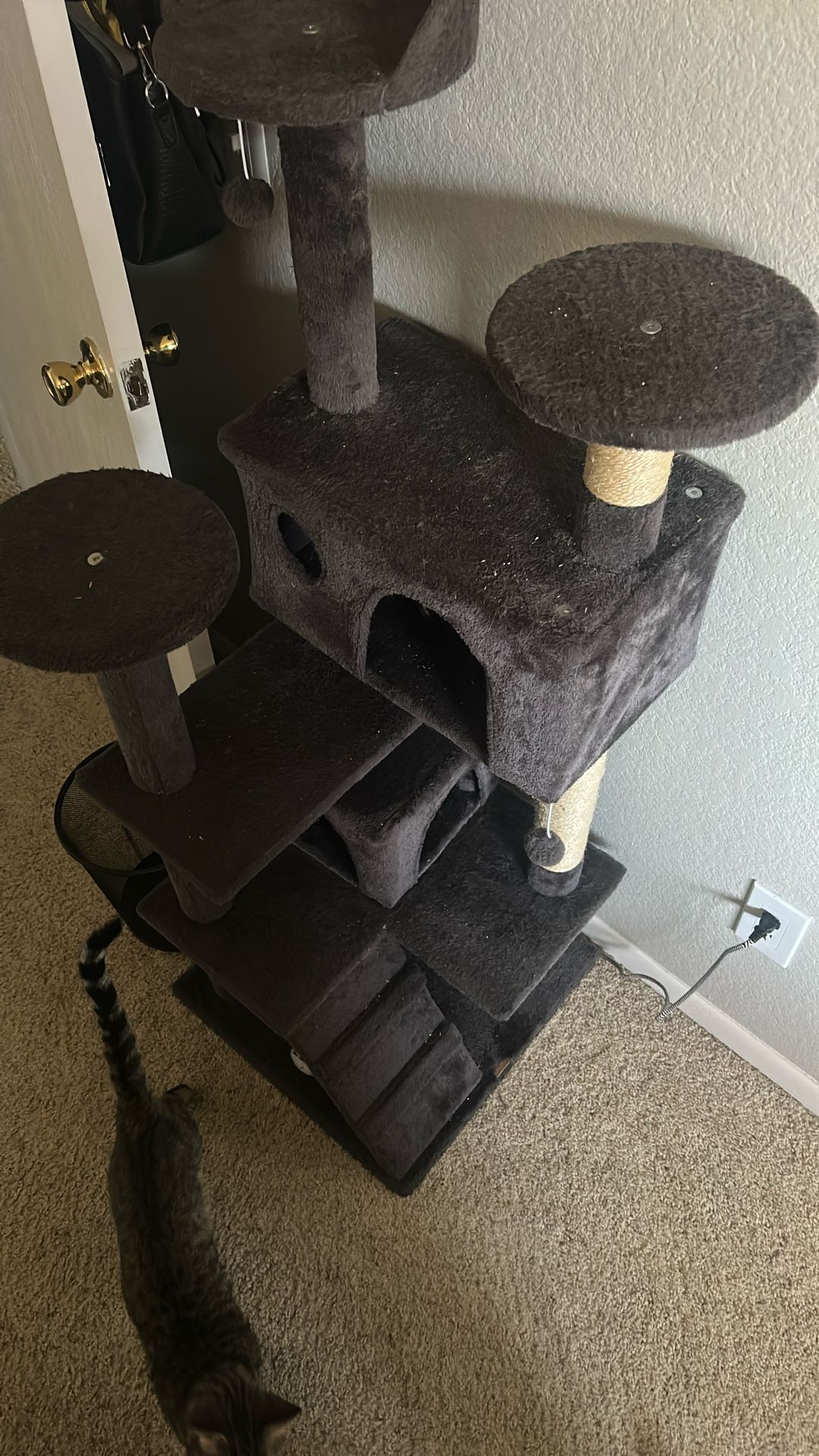 Cat Tower
