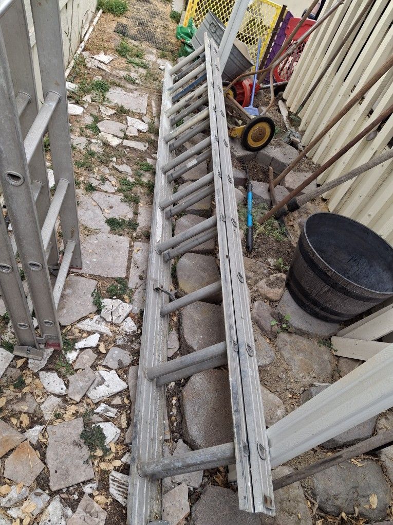 19ft. Expansion Ladder