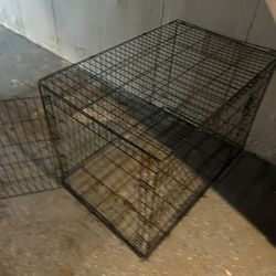  Dog Cage