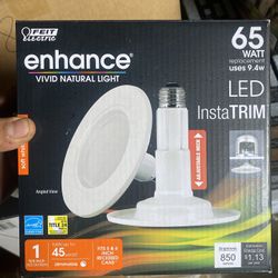 Dimmable Lights For Recessed Can 