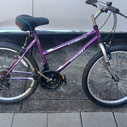 Basically New 10 Speed Bikes!