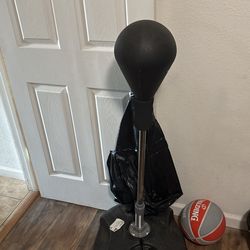 Punching Bag