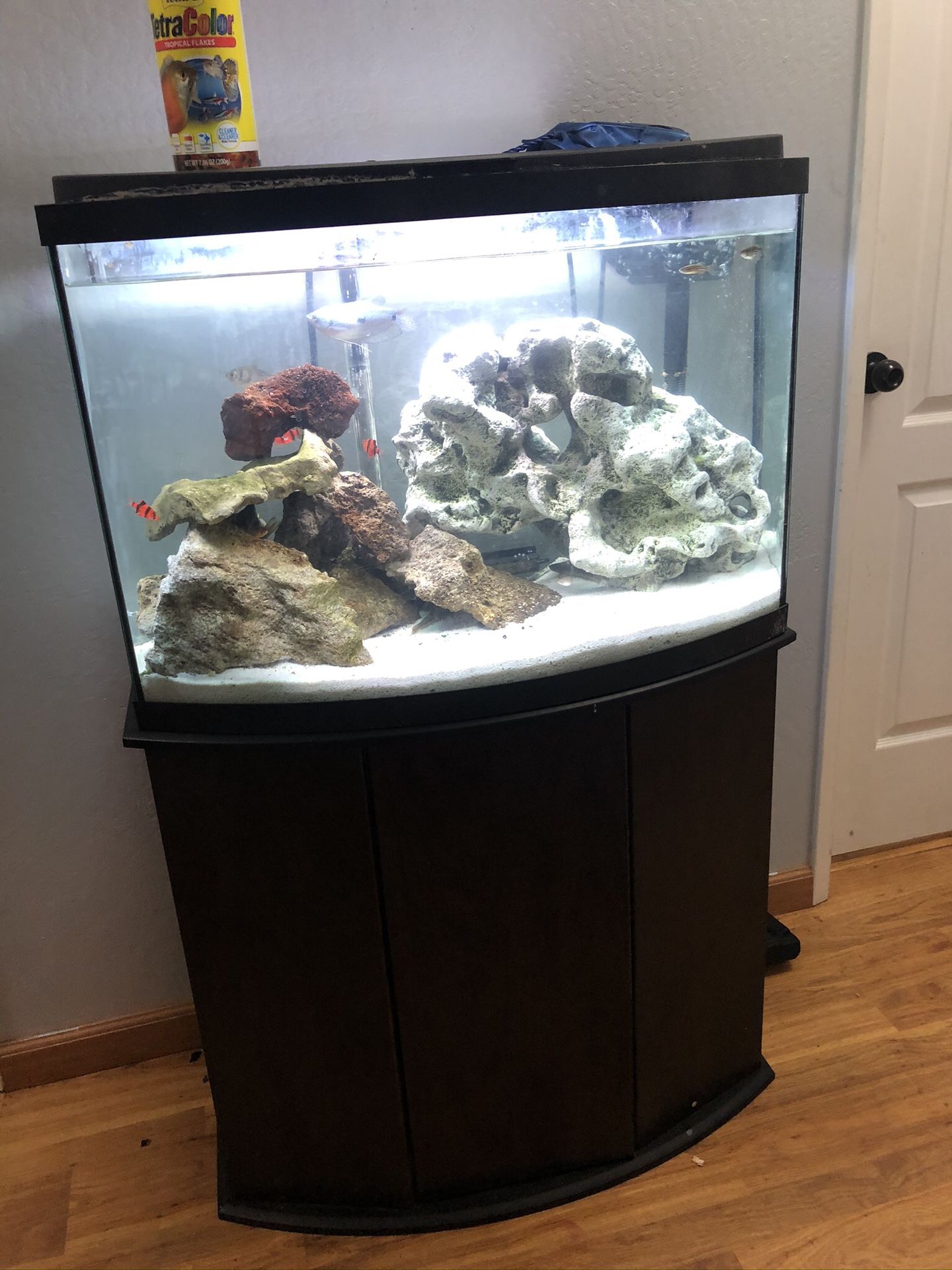 50 gallon aquarium bowed fish tank with stand