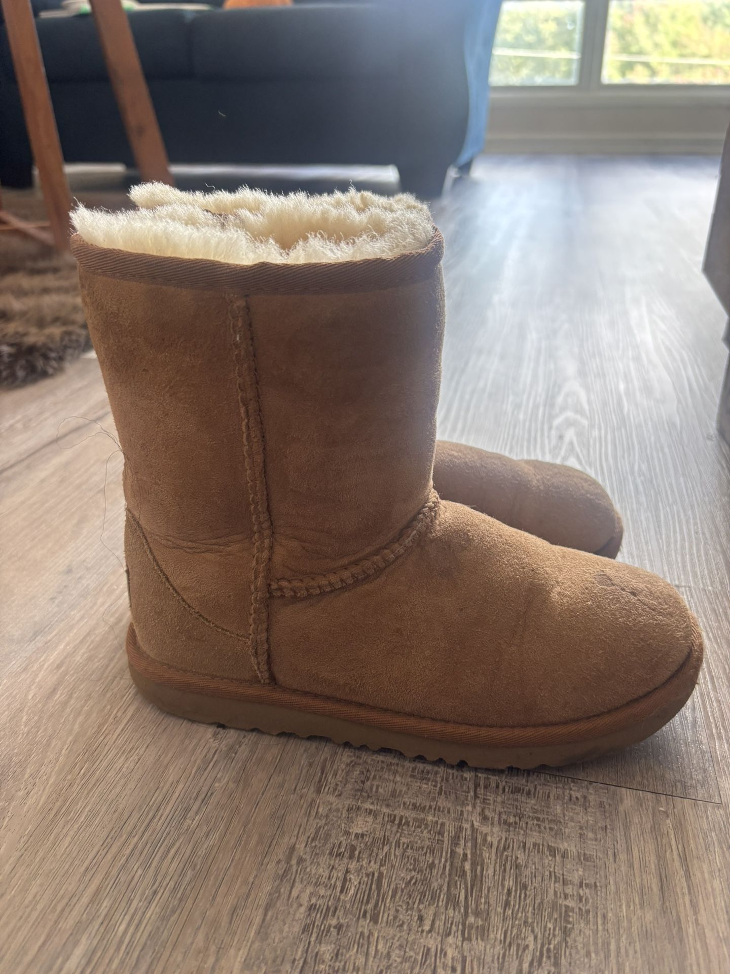 Size 3 Chestnut Uggs
