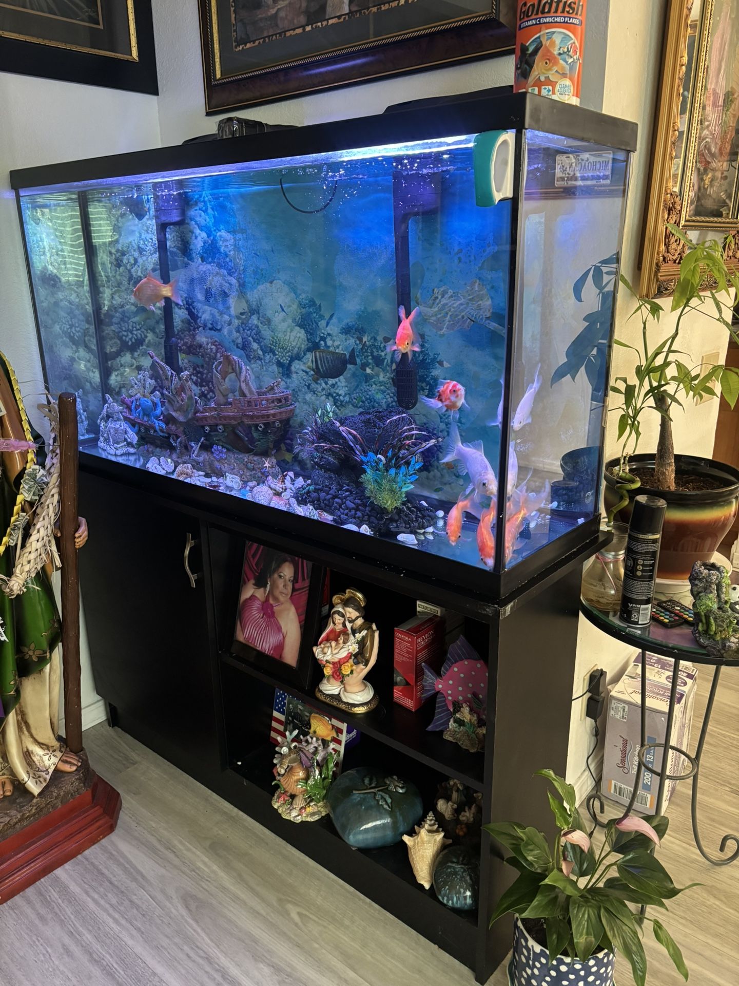 Fish Tank 60 Gallons