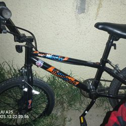 Mongoose Kids Bike