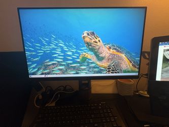 Gaming Monitor  Rog Swift 360hz Pg259qnr