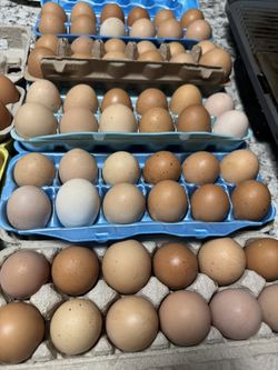 Eggs