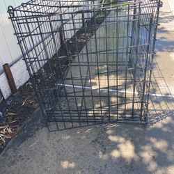 Dog Cage