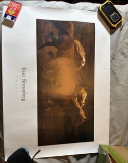 26” x 19” “Tribe” by Tony Stromberg Print
