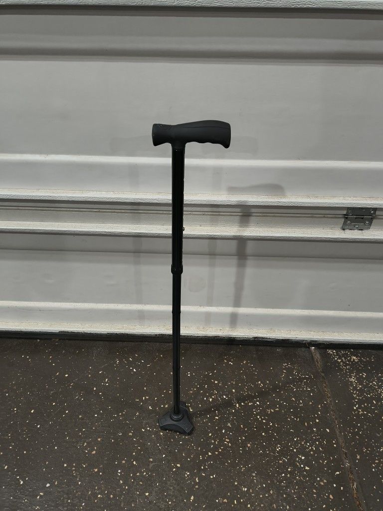 Cane