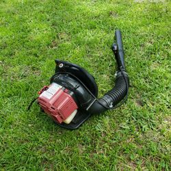 Backpack Blower Gas