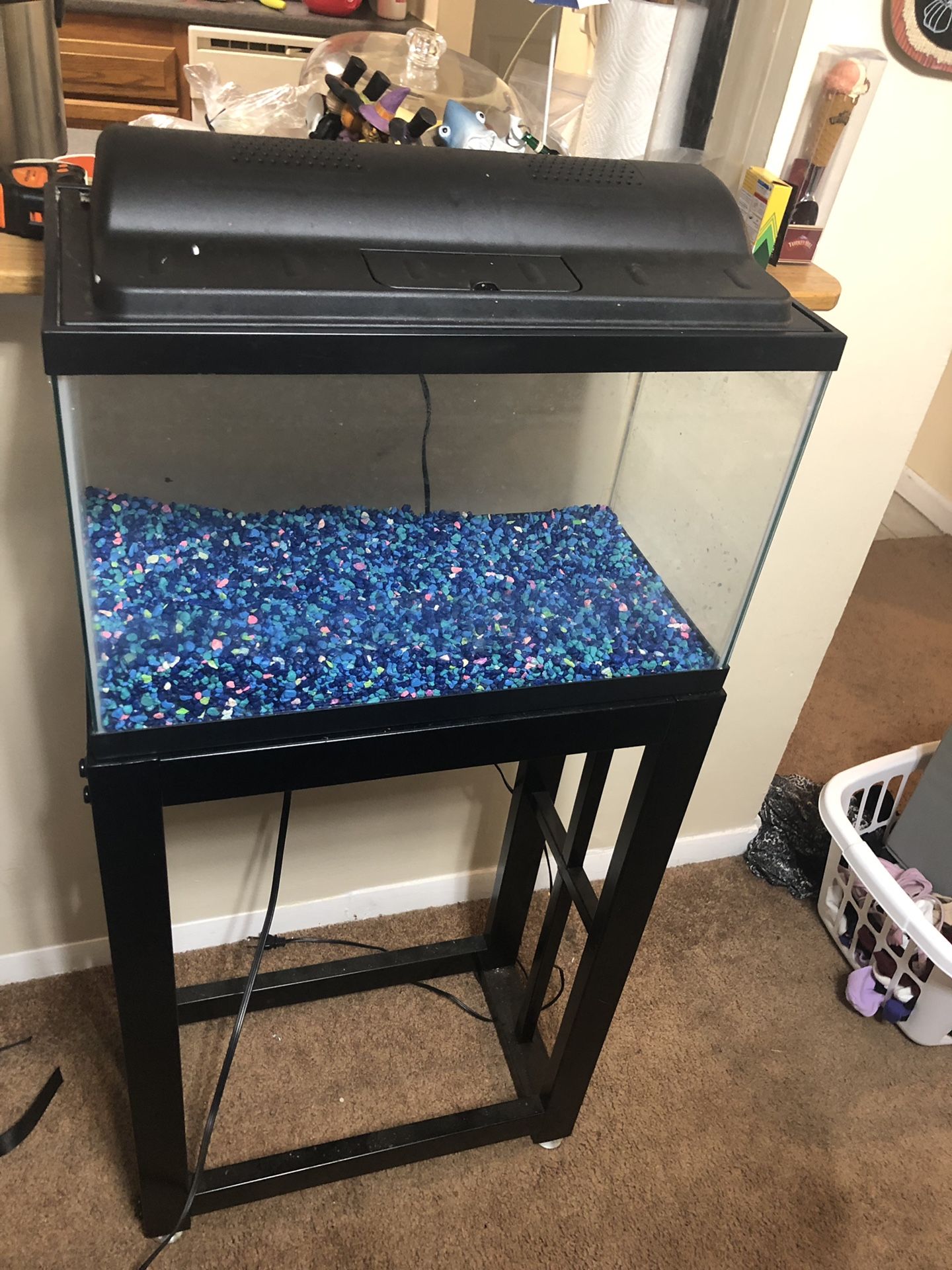 10 gallon fish tank and stand