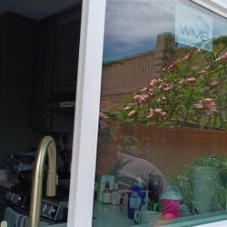 Windows Installation 