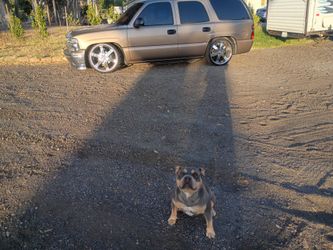 2004 Chevrolet Tahoe