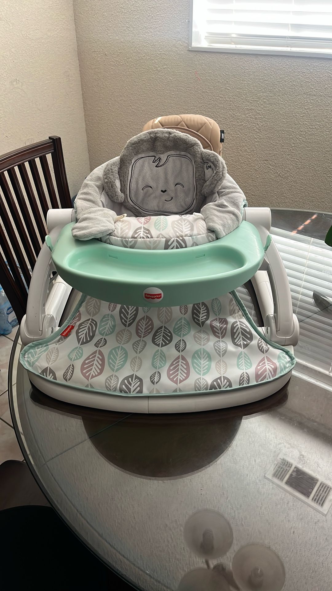 Fisher price Sit Me Uo Chair