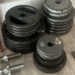 Weights