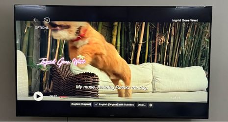 Samsung Flat Screen Smart TV