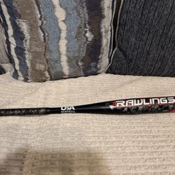 Little League Baseball Bat