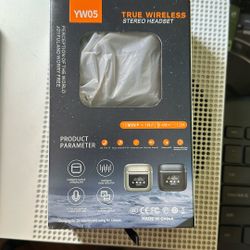 TRUE WIRELESS STEREO HEADSET