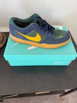 Nike SB force low size 12