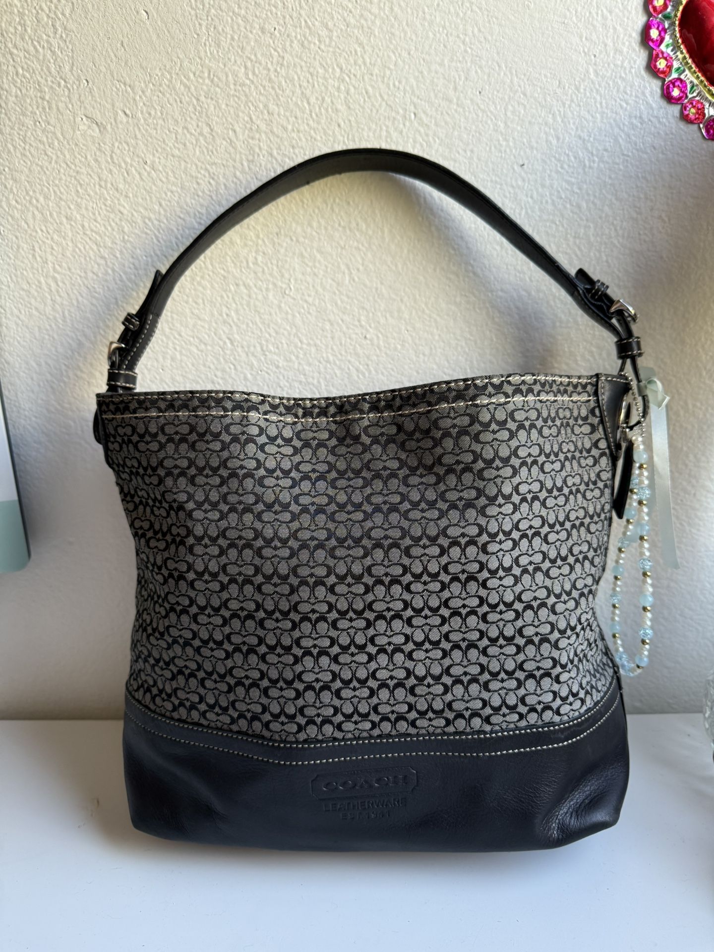 Coach Hobo Bag