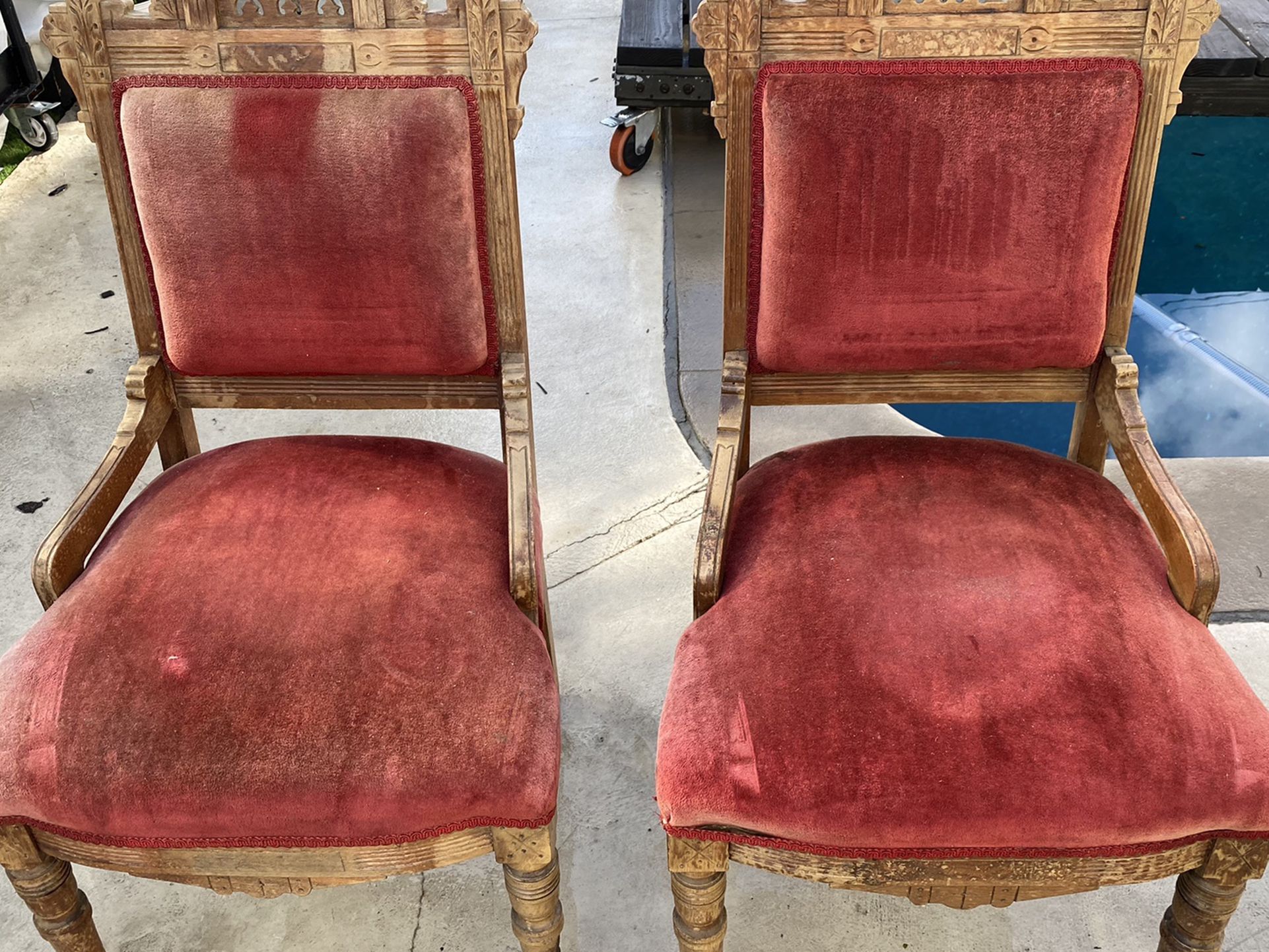 Antique Royalty Chairs - Pair