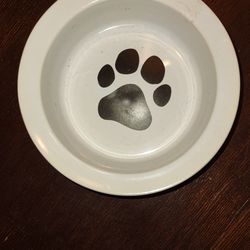 Small dog dish