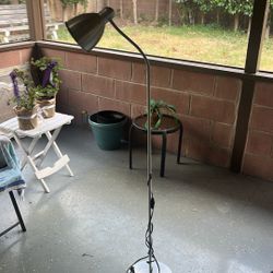Grey Lamp 