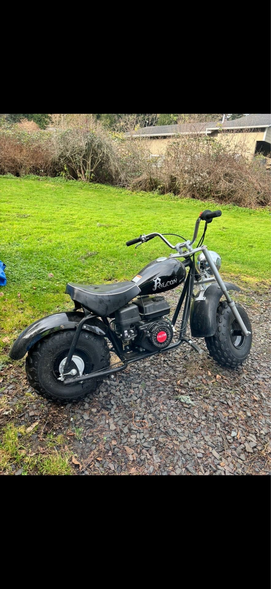 chopper mini bike