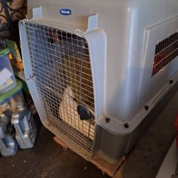 Xl Dog Crate For Extremely Large Dogs 