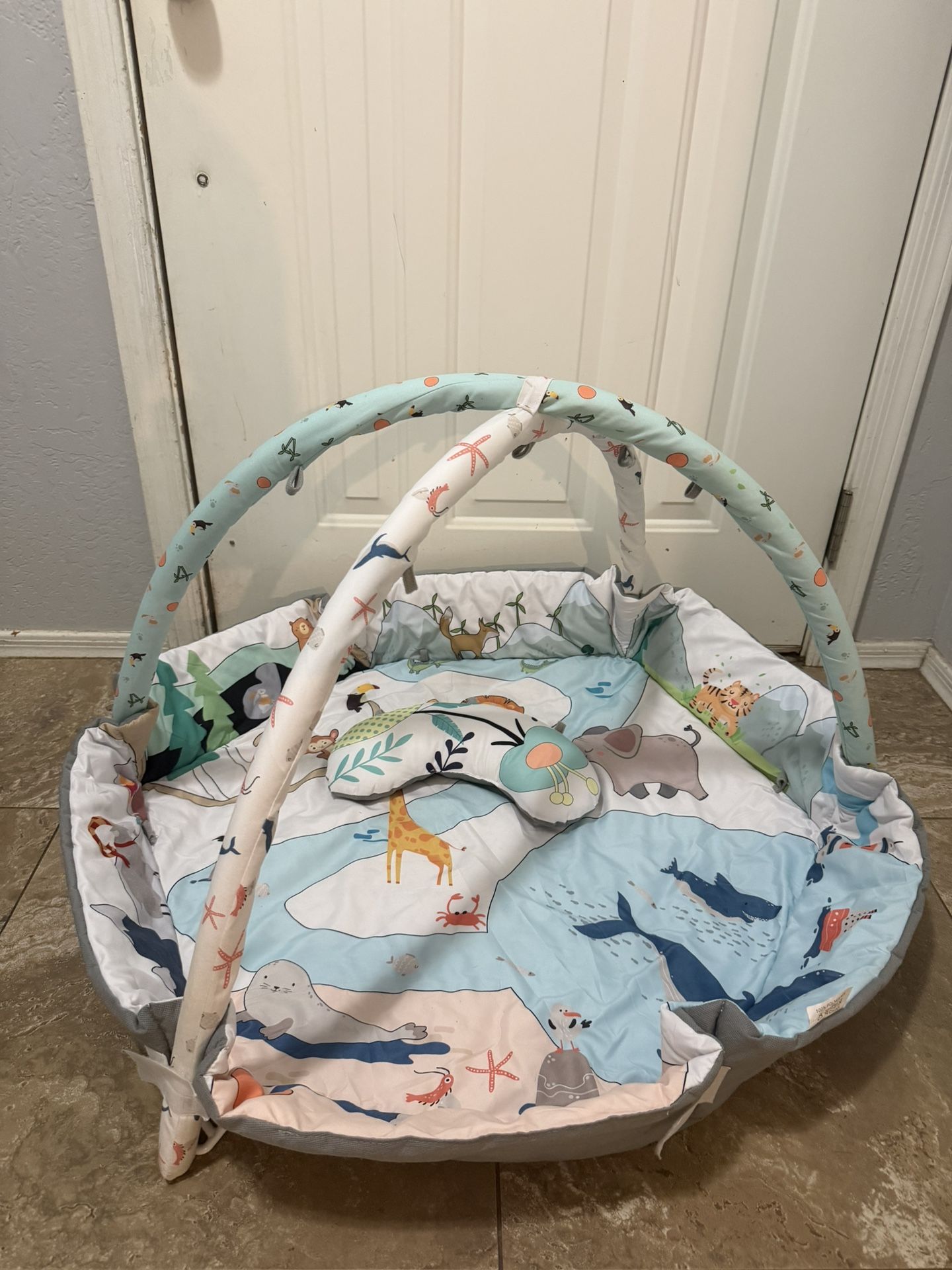 Baby Play Mat Tummy Time Mat