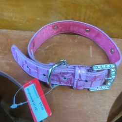 Chrome Bones Swarovski Crystal Dog Collar New Crystal Hearts 