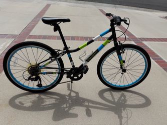 Guardian 24 Inch Bike