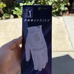 Women’s Large Left Golf Glove 
