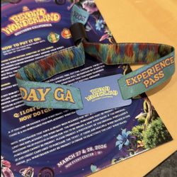 Beyond Wonderland Wristbands 