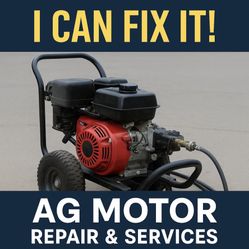 Pressure Washer Mech Carb Cleans Etc