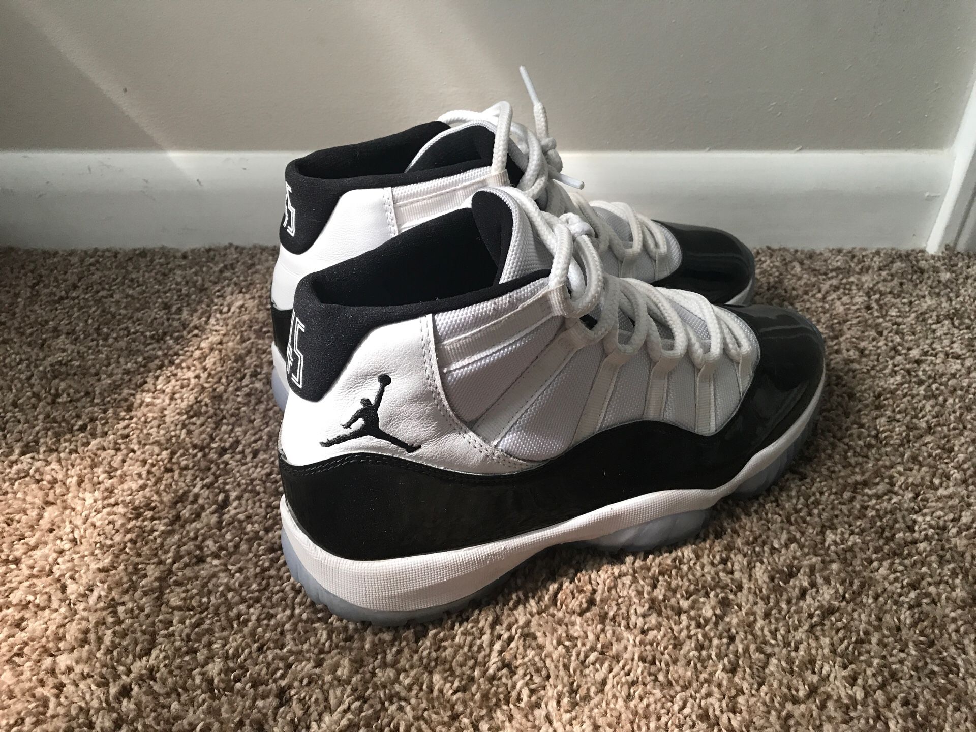 Jordan Concord 11 (9.5) And Jordan 3 International Flight (10)