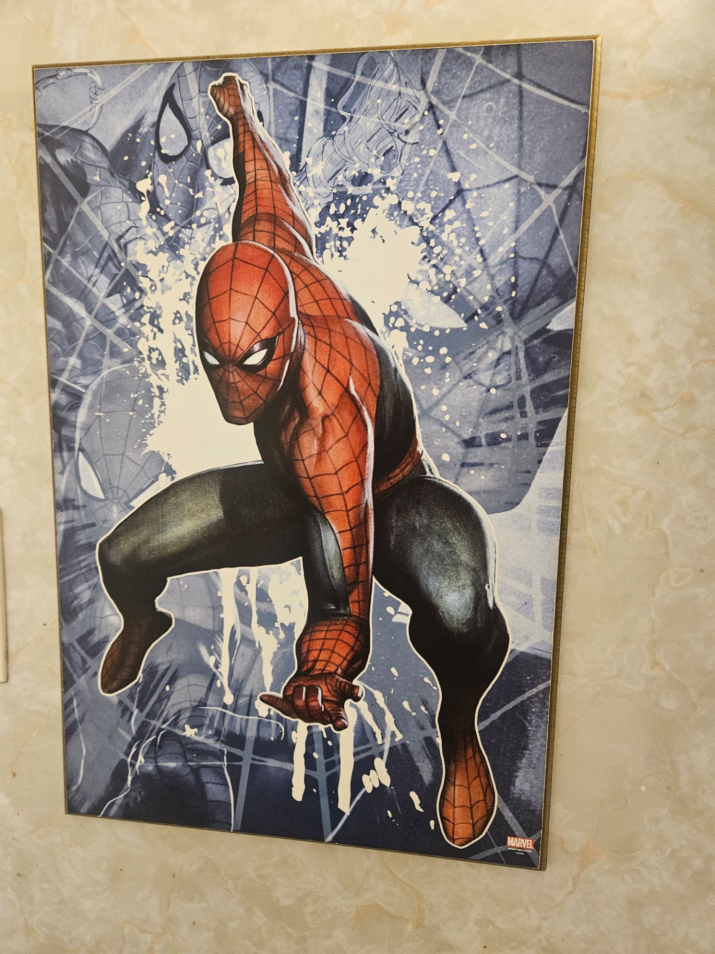DC & Marvel