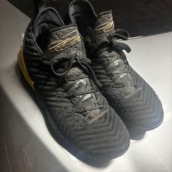 Lebron James Shoes
