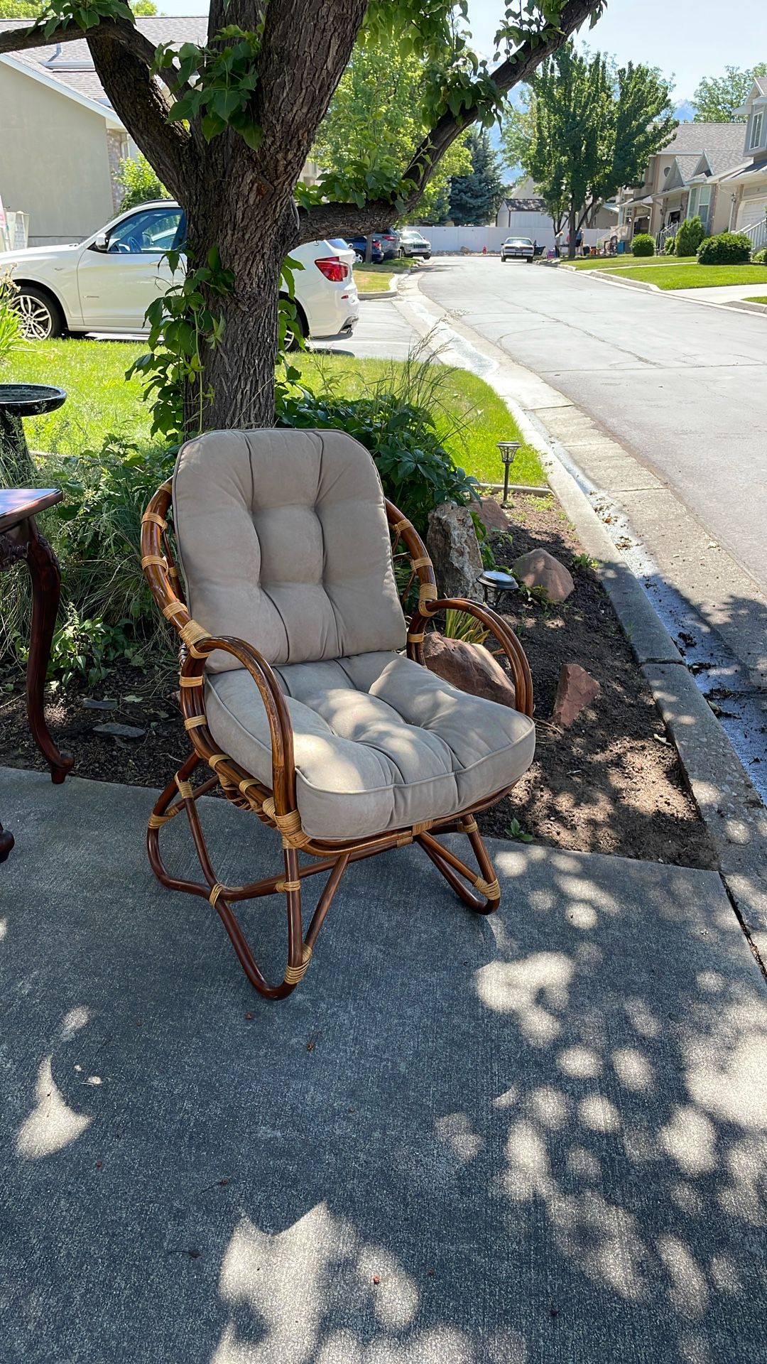 Rattan Chair And Cushions