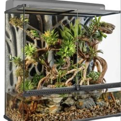 Natural Terrarium Large X-Tall