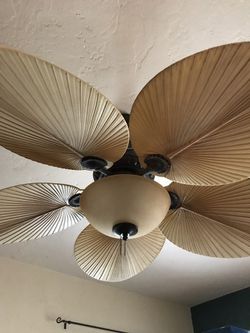 Avion Bahama Leaf Ceiling Fan 54 For