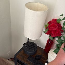 Lamp With USB And Other Plug Ins 