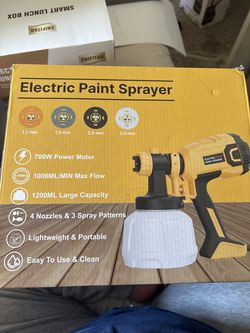 Electric paint sprayer