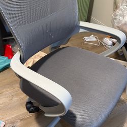 DUMOS Home Office Computer Chair