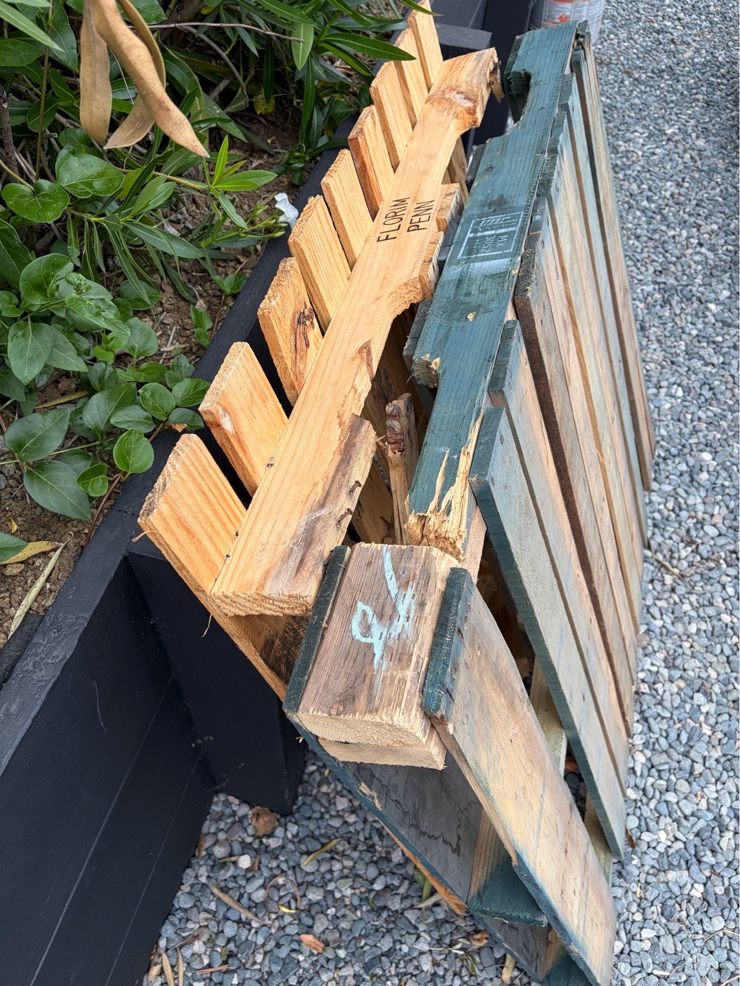 Pallets (free)