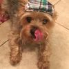 Maggie