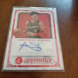 Paini Chronicles Excalibur of Anfernee Simons
